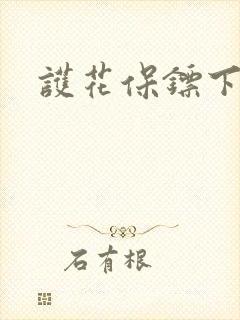 护花保镖下载