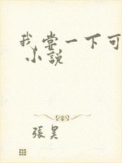 我尝一下可以吗 小说