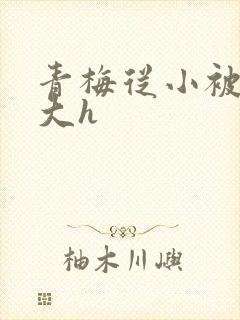 青梅从小被弄到大h