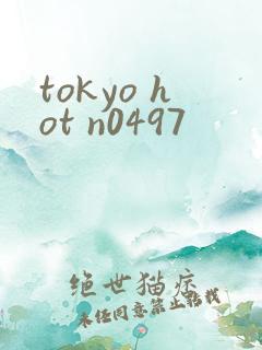 tokyo hot n0497