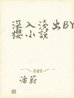 深入浅出BY胖樱小说