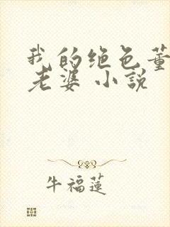 我的绝色董事长老婆 小说