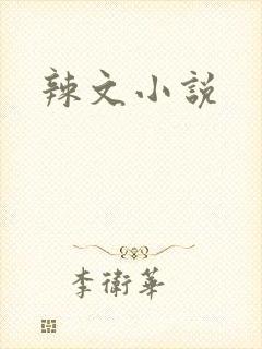 辣文小说