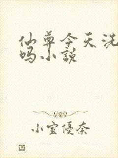 仙尊今天洗白了吗小说