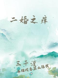 二婚之痒