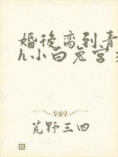 婚后脔到青梅哭h小白兔宫交h