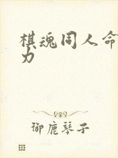 棋魂同人命运之力