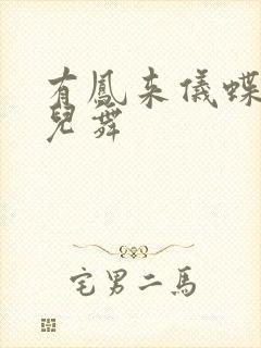 有凤来仪蝶儿蝶儿舞