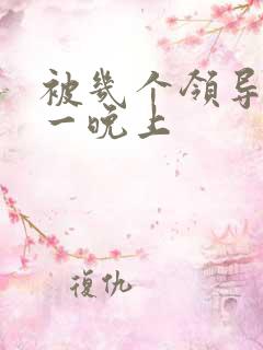 被几个领导玩弄一晚上