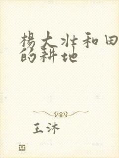 杨大壮和田桂花的耕地