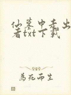 仙墓中走出的强者txt下载