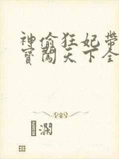 神偷狂妃带着宝宝闯天下全文免费阅读