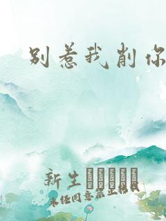 别惹我削你