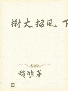 树大招风 下载