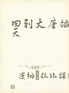 回到大唐插武则天