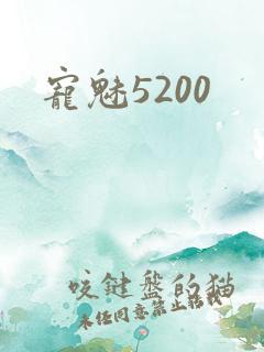 宠魅5200