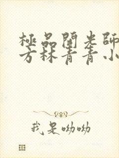 极品开光师李南方林青青小说叫