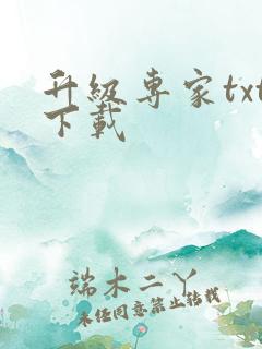 升级专家txt下载