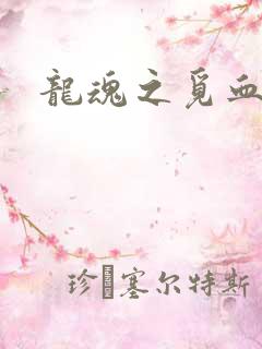 龙魂之觅血心缘
