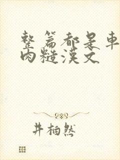 整篇都是车的多肉糙汉文