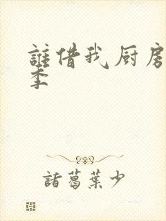 谁借我厨房第二季