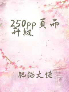 250pp页面升级