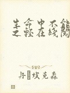 生命中不能承受之轻在线阅读