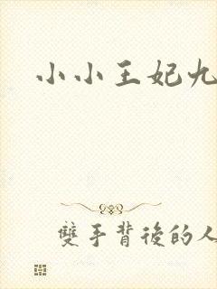 小小王妃九岁半