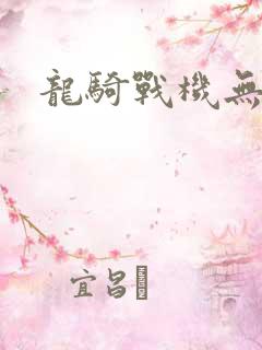 龙骑战机无弹窗