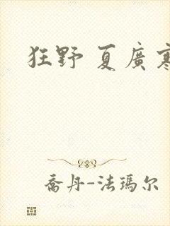 狂野 夏广寒