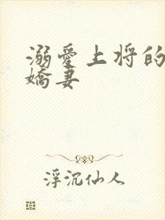 溺爱上将的宝贝娇妻