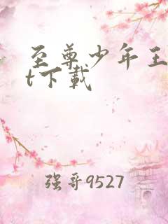 至尊少年王txt下载