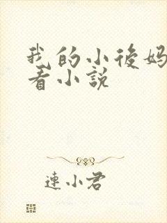 我的小后妈免费看小说