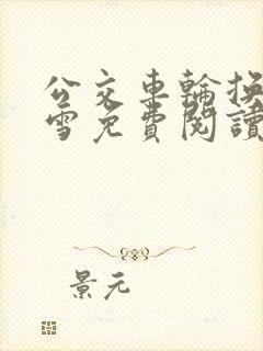 公交车轮换C程雪免费阅读