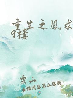 重生之凤求凰19楼