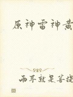 原神雷神黄本本