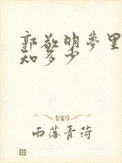 郭敬明梦里花落知多少