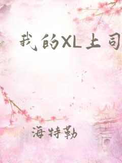 我的XL上司