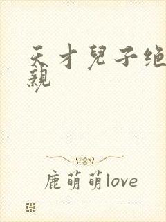 天才儿子绝色娘亲