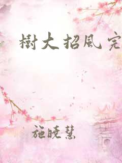 树大招风完整版