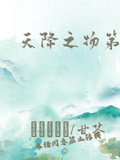 天降之物第一季