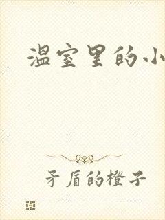 温室里的小百合