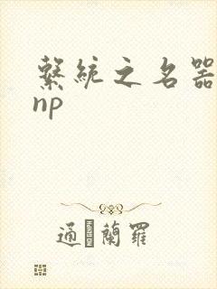 系统之名器攻略np