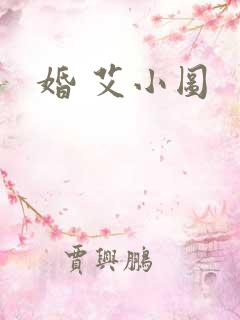 婚 艾小图