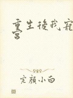 重生后我宠冠东宫