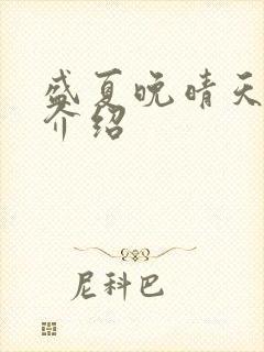 盛夏晚晴天剧情介绍