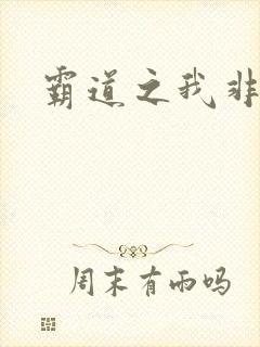 霸道之我非英雄