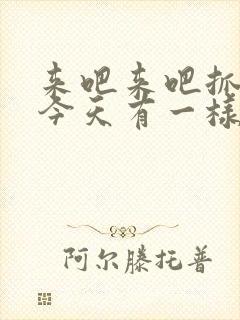 来吧来吧抓紧点今天有一样好东西