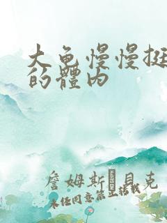 大龟慢慢挺进我的体内