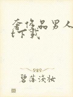 奢侈品男人txt下载